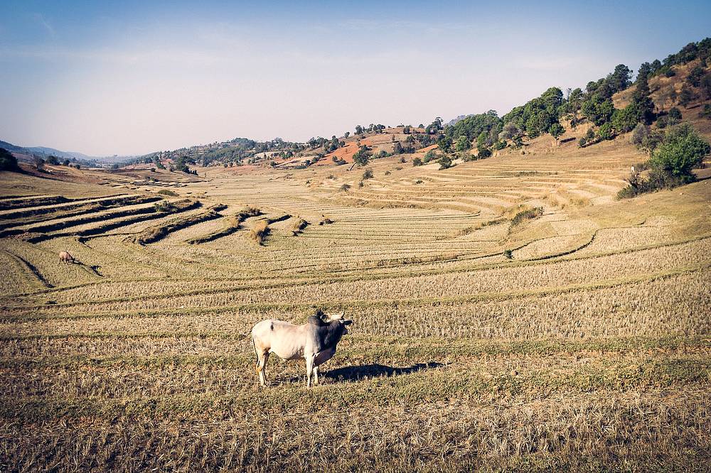 A Trip to Myanmar - Hiking 