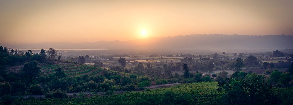 Sunset at Winery 