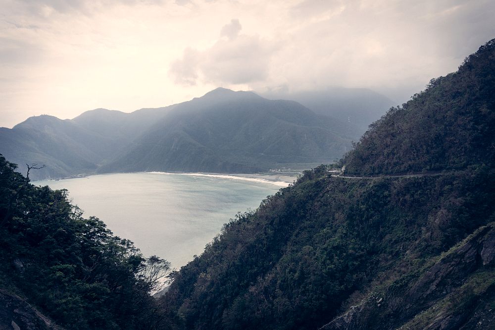 Amazon Road along the East Coast 